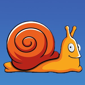 The Crazy SNAIL