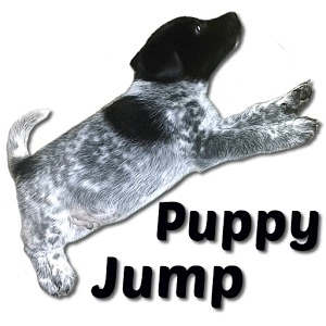 Puppy Jump