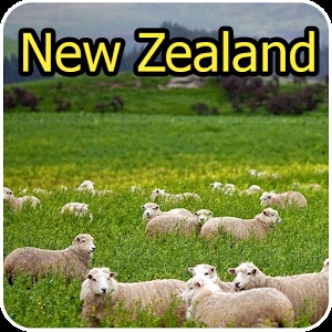 Find Difference New Zealand