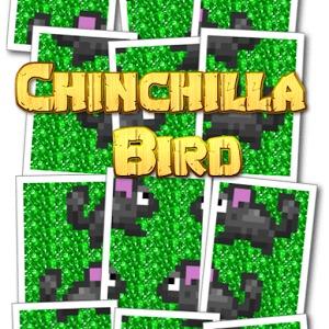 Chinchilla Bird
