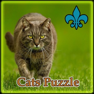 Cats Puzzle