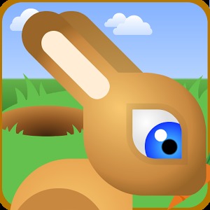 Bunny Rabbit Jump Race
