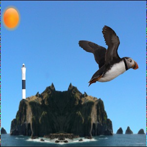 Flying Puffin