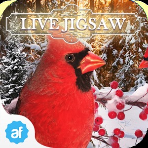 Live Jigsaws - Winterland Free