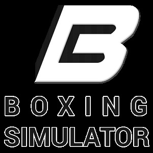 Boxing Simulator