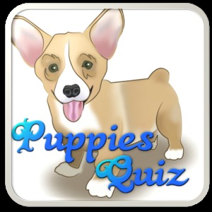 Puppy Dog Breeds Quiz