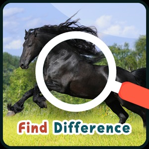 Find Differences Horses