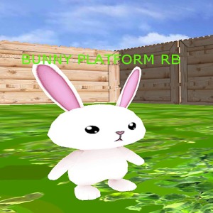 Bunny Platform RB