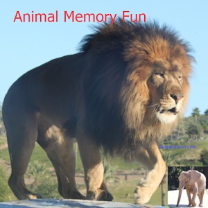 Animal Memory Fun - Free