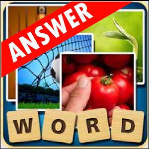 Guess Word Answers