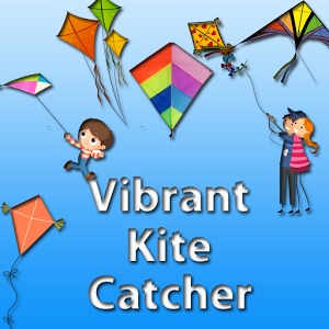 Vibrant Kite Catcher