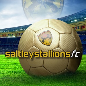 Saltley Stallions FC