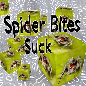 Spider Bites Suck