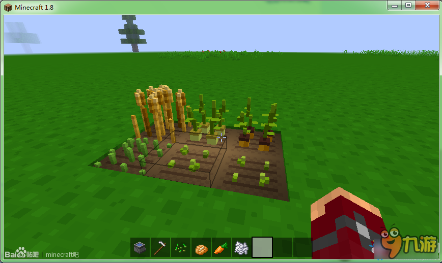 我的世界农作物及树木种植方法 我的世界农作物怎么种植
