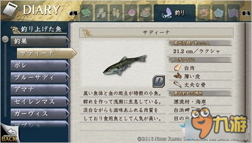 伊苏8各种鱼具体地点 伊苏8全鱼类图鉴