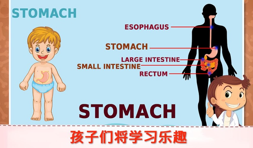 學(xué)習(xí)人體部分2V1.0.0好玩嗎 學(xué)習(xí)人體部分2V1.0.0玩法簡(jiǎn)介