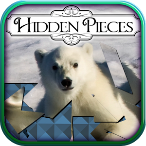 Hidden Pieces: Polar Bears