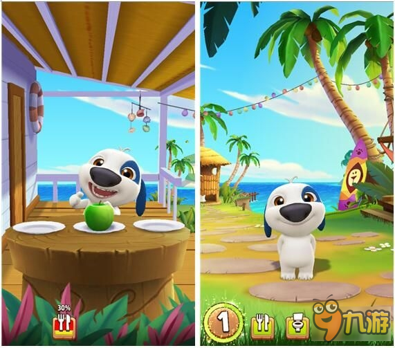 主人！快让我萌化你的心：我的汉克狗