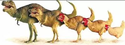 重返侏罗纪《植物大战僵尸2》先有鸡还是先有蛋？