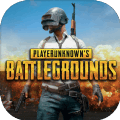 游戏下载PlayerunknownsBattlegrounds