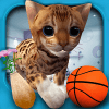 Cat Simulator Kitty 3D - FREE GAME