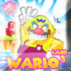 Guide Wario Land