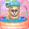 Kitty Spa and Feeding在哪下载