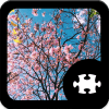 Spring Jigsaw Puzzle