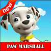 Super Paw Marshall jungle patrol快速下载