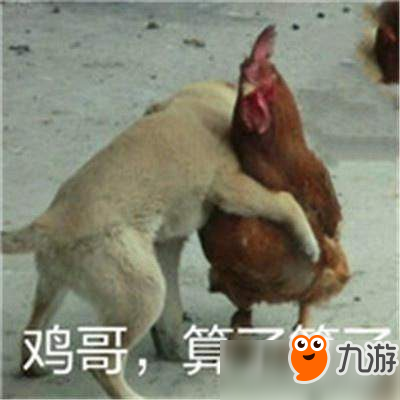 大吉大利晚上吃鸡！鸡为何能成为游戏中最常见的动物？