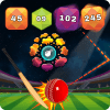 Block Cricket免费下载