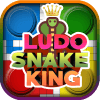 Ludo Snake King玩不了怎么办