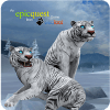 Tigers of the Arctic