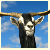 Goat Simulator 2016 3D官方版免费下载