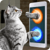 Real Portal Cat Simulator Prank费流量吗