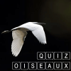 Quiz consacré aux oiseauxiphone版下载