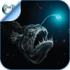 Deep Sea & Ocean Fish Quiz HD