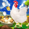 Real Egg Catcher Surprise : Egg games