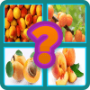 Name The Fruit - Kids Funny Game