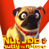 Nut job 2 : Nutty By Ocean无法打开