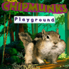 Chipmunks Playground手机版下载