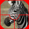 ZEBRA HUNTER