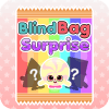 Blind Bag Surprise不能登录怎么办