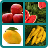 Fruits Quiz版本更新