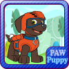 Paw Puppy Pups Fly Patrol