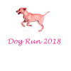 Dog Running Tog 2018