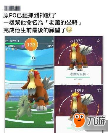 《PMGO》玩家离世 网友抓宝宝帮其圆梦！