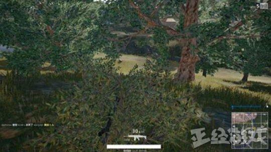 《绝地求生》“黑话”科普 争做LYB，今晚要吃鸡