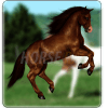 Horse Race Liveiphone版下载