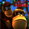 Hint Donkey Kong Country 3